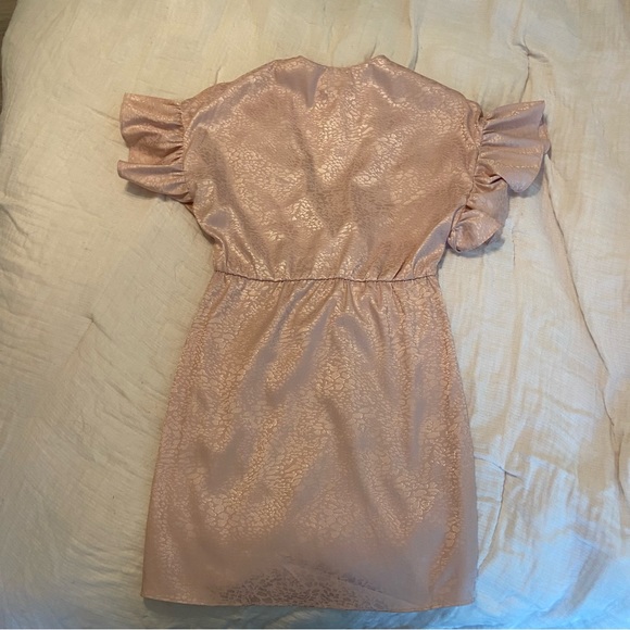 Saylor Ruffle Sleeve Mini Brookey Dress In Blush - Picture 6 of 7